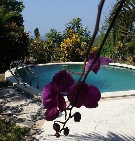 West Bali Villas-Umasari Resort Negara  Kültér fotó