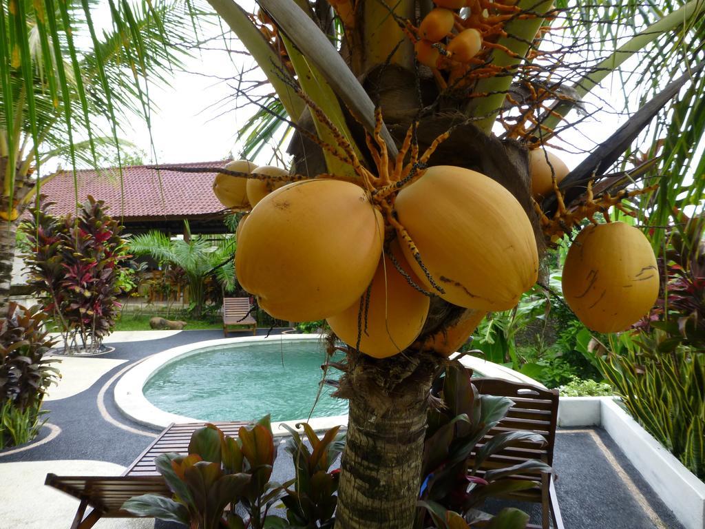 West Bali Villas-Umasari Resort Negara  Szoba fotó