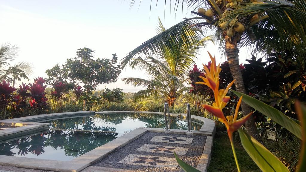 West Bali Villas-Umasari Resort Negara  Kültér fotó