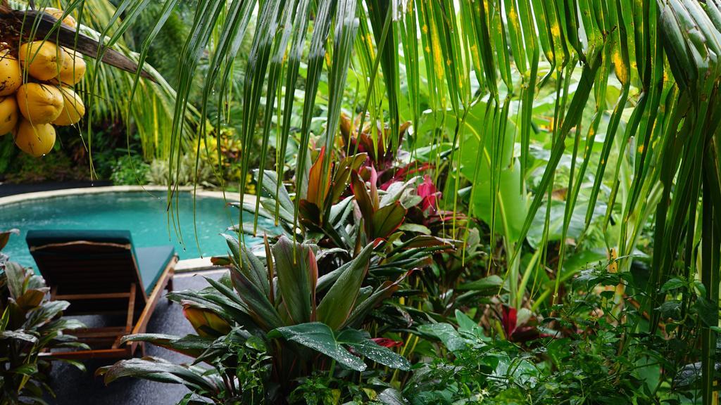West Bali Villas-Umasari Resort Negara  Kültér fotó