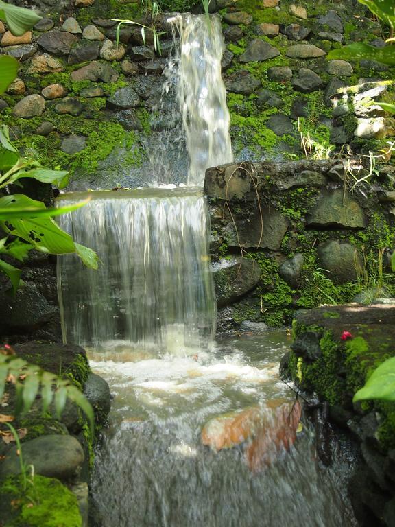 West Bali Villas-Umasari Resort Negara  Kültér fotó