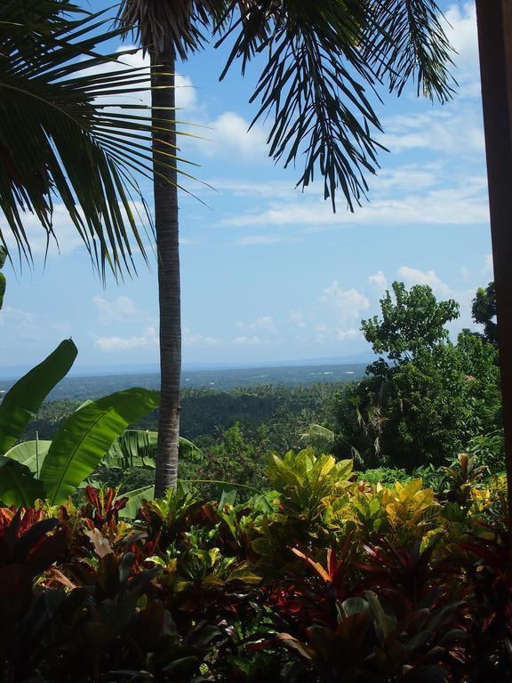 West Bali Villas-Umasari Resort Negara  Kültér fotó