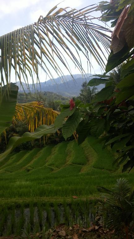 West Bali Villas-Umasari Resort Negara  Kültér fotó